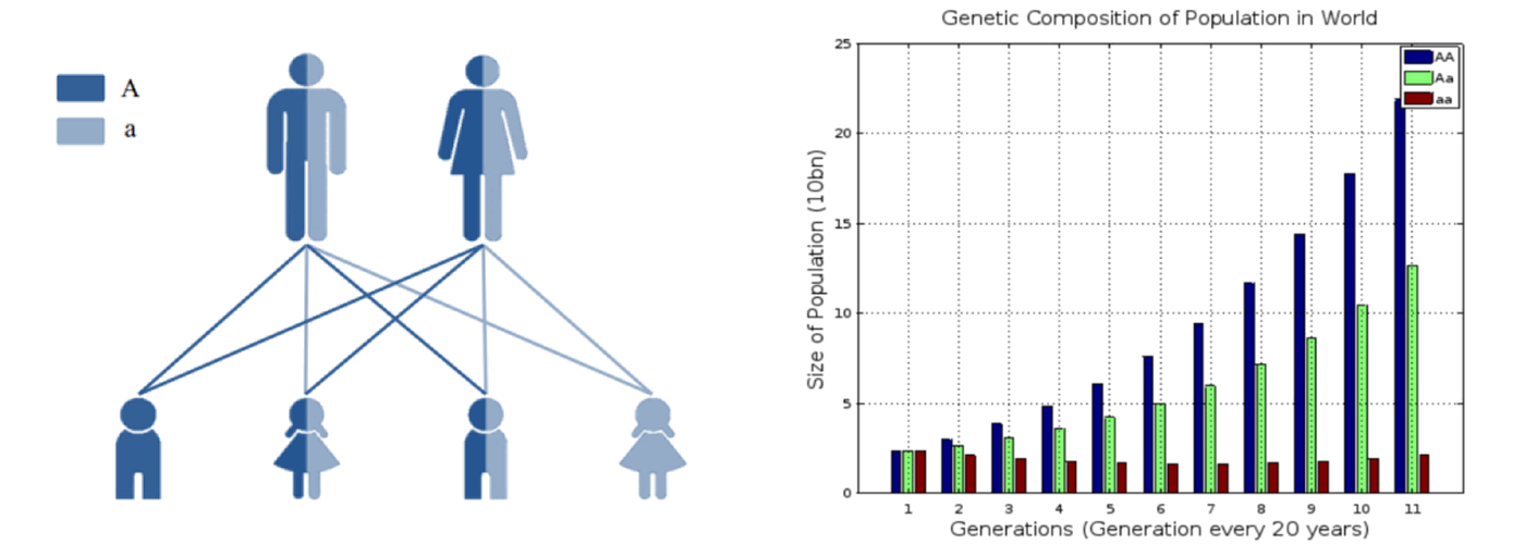 genetic_population