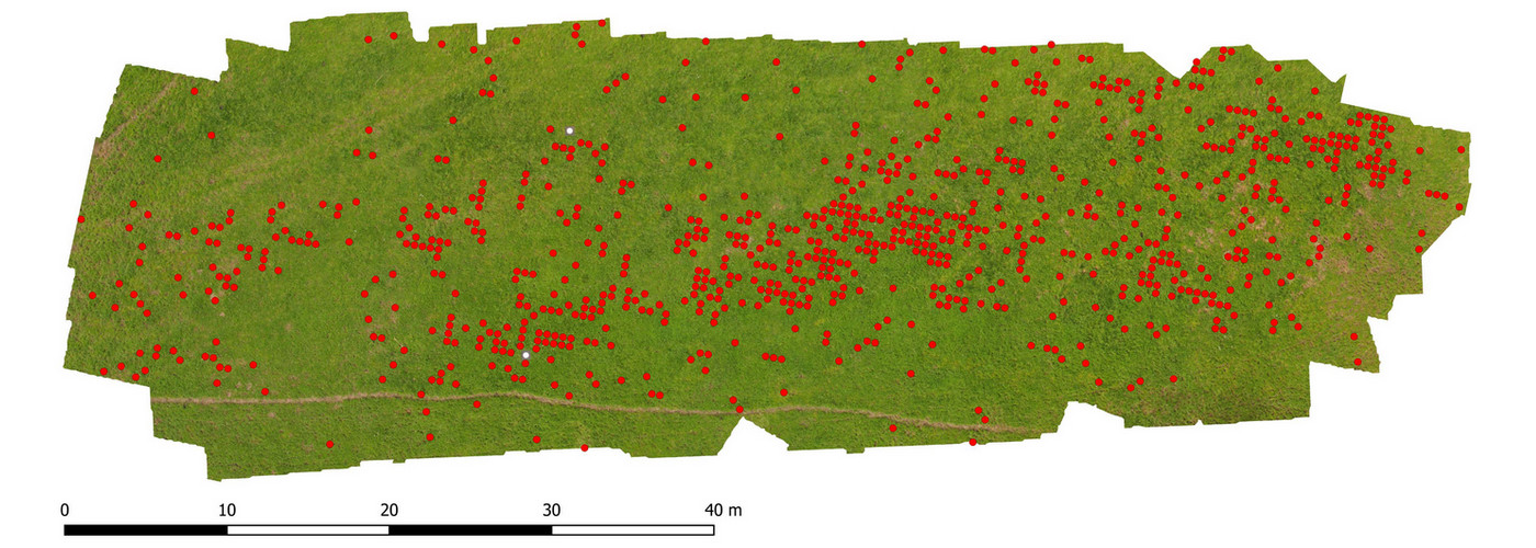 MThesis_weed_map